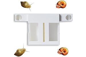 Snail Catcher for Aquarium: Overnight Pest Removal Solution
