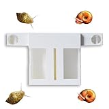 Snail Trap for Aquarium, Pest Snails Catcher Overnight,...