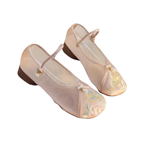 2025 Summer Women's Breathable Mesh Floral Embroidery Shoes Chinese Style Elegant Cheongsam Hanfu Shoes Round Toe Low Heel Mary Jane Shoes Casual Ankle Strap Shoes