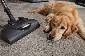 Miele 41BBN031USA_K1 Classic C1 Cat And Dog Canister Hepa Vacuum Cleaner thumb #1