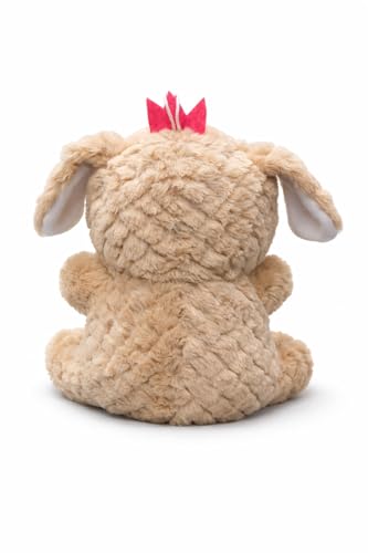 Image of Cute Teddy Bear Soft Toy with Hoodie | Plush Stuffed Teddy for Baby Girls & Kids | Soft, Huggable & Cuddly Plushie | Birthday & Gift Toy | White & Light Brown, 20 cm