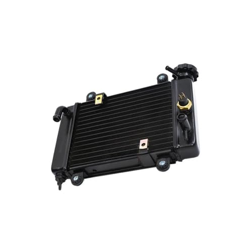 Radiateur de refroidissement à eau pour vos randonnées en quad Bashan et UTV tout-terrain