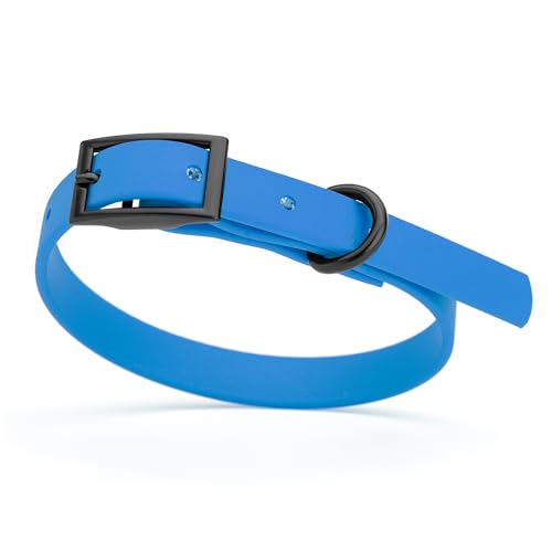 Image of Dogline Biothane Waterproof Dog Collar Strong Coated Nylon Webbing with Black Hardware Odor- Proof for Easy Care Easy to Clean High Performance Fits Small Medium or Large Dogs, Cerulean Blue