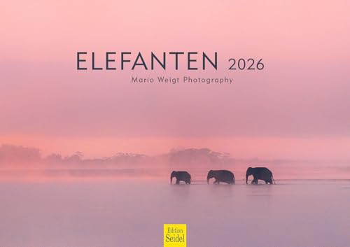 Edition Seidel Premium Kalender Elefanten 2026 Format DIN A3 Wandkalender Tierkalender Tiere Elefant Wildtier Natur Mario Weigt