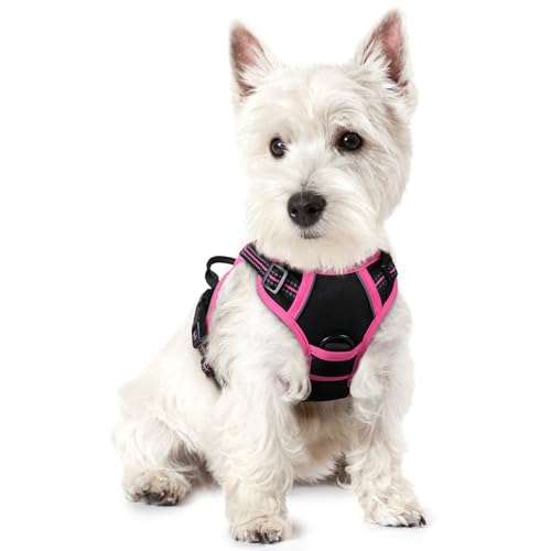 Image of rabbitgoo Dog Harness No Pull with 2 Leash Clips, Adjustable Soft Padded, Reflective Oxford No Choke Pet Vest with Easy Control Handle for Large Dogs, Black & Hot Pink, XS