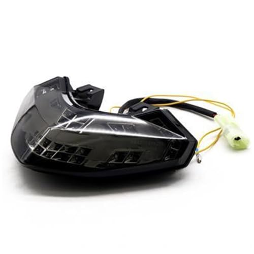 Luz trasera para rutas nocturnas en moto Devil 1200S con intermitentes 3