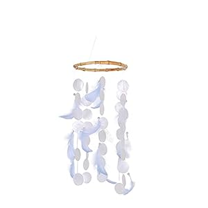 Crazyfly Windklokkenspel met schelpen veren, natuurlijke ontspannende rustgevende geluid thuis opknoping decor ornamenten geschenken voor buiten