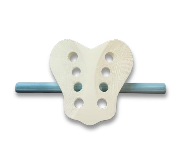 OMM Sacrum Model with Digital Visualization of Sacral Osteopathic Mechanics (10)