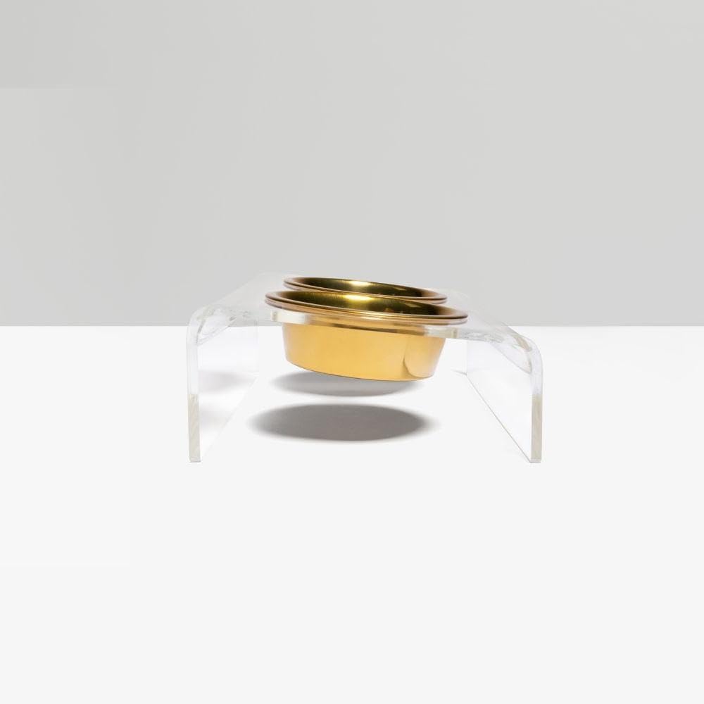 Hiddin Double Slanted Elevated Dog Bowl Stand for Medium Dogs, All Breeds, Clear Acrylic 4 to 5 Inches Raised Dog Bowl Stand with Two Gold Stainless Steel Bowls for Food and Water - 3.5 Cups Each Dish