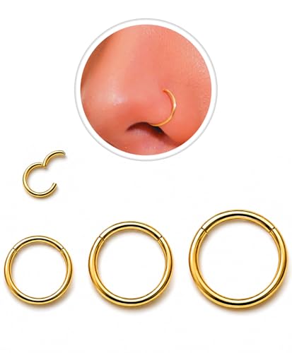 3Pcs 18G Gold Nose Rings Hoop for Women Men,Hypoallergenic 316l Surgical Steel Hinged Clicker Segment Nose Rings Hoop Helix Cartilage Daith Tragus Sleeper Earrings Real Body Piercing Jewelry Diameter 6mm 8mm 10mm