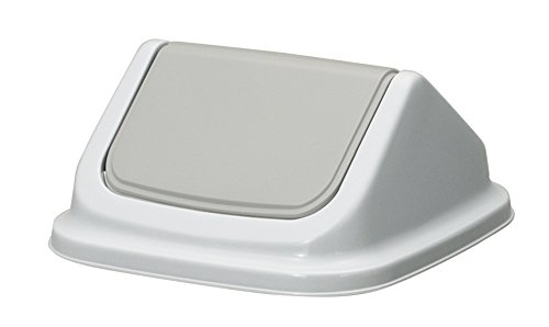 Dragonfly Dust Box Lid