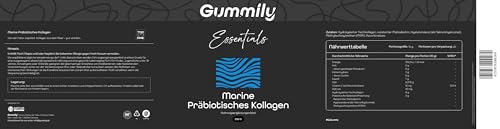 Marine Kollagen Pulver – Hydrolysiertes Fischkollagen – Hoher Proteingehalt – Präbiotische Ballaststoffmischung – Vitamin C – Hyaluronsäure – MSM – Zuckerfrei – Gummily