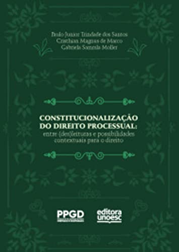 Constitucionalização do direito processual: entre (des)leituras e possibilidades contextuais para o direito
