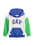 GAP baby-boys Novelty Logo Pullover Sweatshirt Dazzling Blue 183949Tc 6-12M