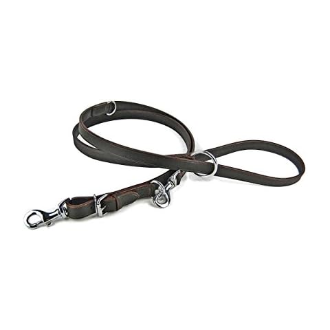 Avon Police Style Leather Dog Lead Cover