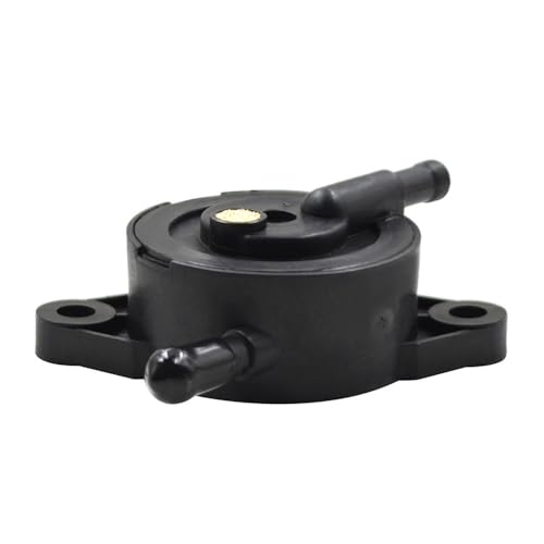Combustible para motocicleta soluciona tirones Brute Force 750 3