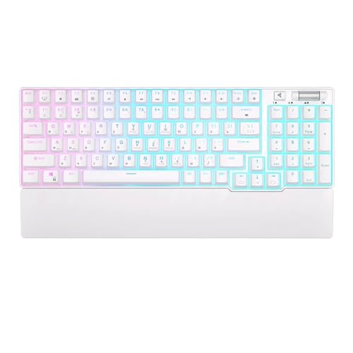 RK CX Bluetooth JjJL[{[h 96 RGB gC[h BT5.0 2.4 O USB zbgXbv\ȃQ[~OL[{[h̃foCXƌ݊(RUSSIAN WHITE)