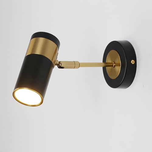 ߉\ȖkǎtpǏA360°+180°]ArO[ƐQp̗Lv