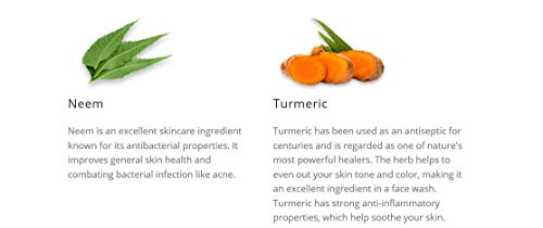 Image of Himalaya Purifying Neem Face Wash, 400 ml And Himalaya Oil Clear Lemon Face Wash, 200ml