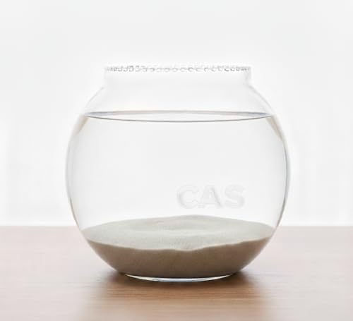 Image of CAS 1L to 14L Glass Fish Bowl (12 INCH, Surface (Glass) Fish Bowl) 13l