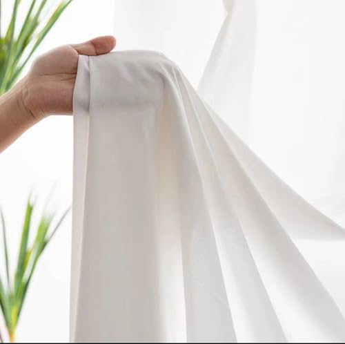 Lirzxin Cortinas de salón transparentes para interiores, cortina de tul Sheer 2 paneles, 132 x 244 cm (ancho x alto), cortina lisa para dormitorio y salón con ollados, blanco