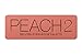BYS Peach 2 Eyeshadow Palette Tin with Mirror Applicator 12 Matte & Metallic Shades
