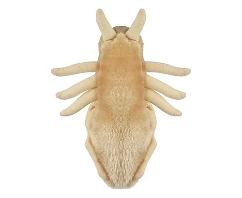 Giant Microbes Louse Plush – Learn About Lice And How To Treat Them, Fun Educational Gift For Family, Friends Doctors, Nurses, Scientists, Insect Lovers And All With A Healthy Sense Of Humor #TOP3