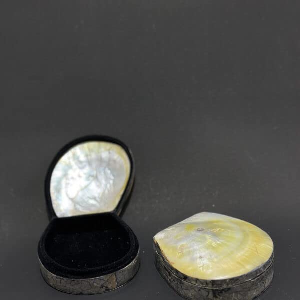 PEARL OYSTER MATERIAL JEWELL BOX