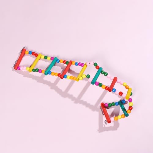 Toddmomy IÊ͂ ؐr[YKi ̓o肨 pVя CR IJCRΉ