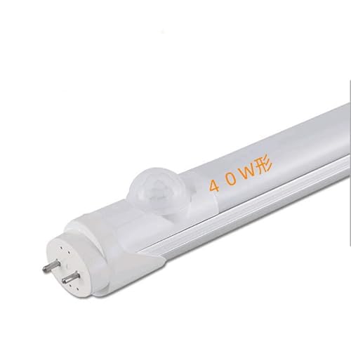 LEDu  40W` 1198mm O[Hsv F6000K (F 1{ lZT[)