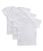 Big Oshi Baby 3 Pack Lap Shoulder Crewneck Undershirt T-Shirts - PLK-803 - White, 18-24 Months