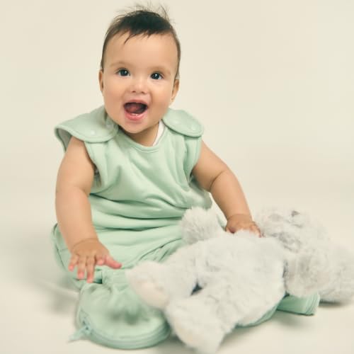 Image of JOI All Season Super Soft Sleeping Bag, Wearable Blanket for Babies, 2024 Good Housekeeping Parenting Award Winner Sleep Sack, Covers TOG 1.0, 1.5 and 2.0