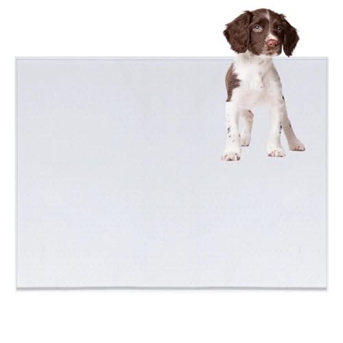 Lifetips R[CPzfBG gC}`FX^[eA ybggC}bg VR h ~ 􂦂  L V[gh~ g[p t[Oی ybggC}bg VR}bg ΍ gCV[gŒ h 