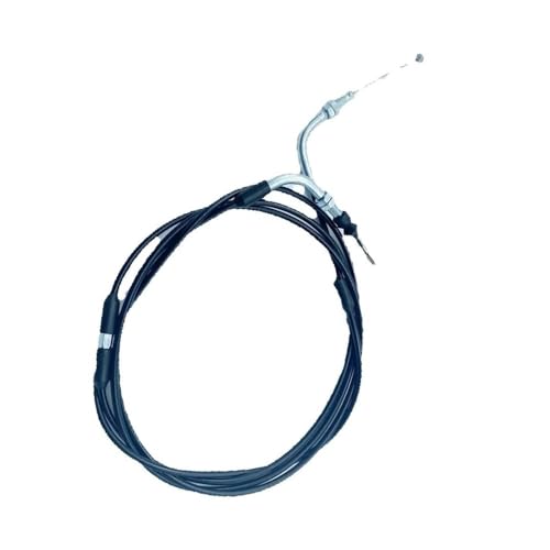 OEM Kandi Xbg 125C` KD 150GKM 200GKM-2 S[J[g DUNE BUGGY Kinroad Roketa GK-10 GK-150p