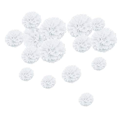 Easy Joy Pompon Papier de Soie Blanc Pompom Decoration Fleur Boule Mariage Suspendu pour Maison Fete Jardin Anniversaire Chambre - 15pcs (5pcs 15/20/25cm)