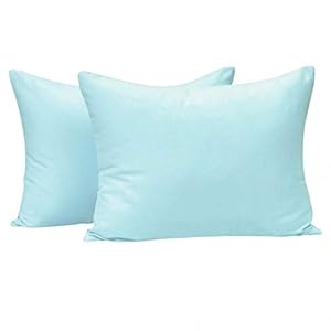 NTBAY Zippered Toddler Pillowcases Set of 2, 100% Brushed Microfiber 13×18 Pillowcases, Super Soft and Cozy Travel Kids Nursery Pillow Cases, 13×18 Inches, Aqua