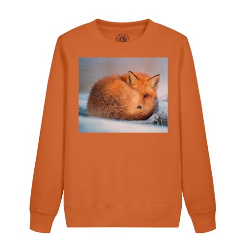 Sweat enfant renard roux chaud contre le froid, fini les pulls qui grattent