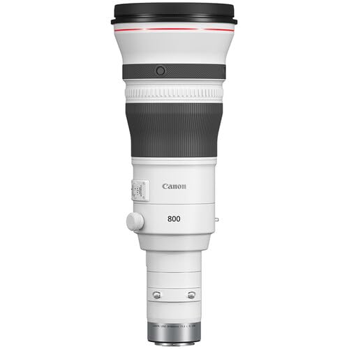 Amazon.com : Canon RF 800mm f/5.6 L is USM Lens Ideal for Sports