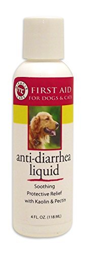 Miracle Care Miracle Care Anti Diarrhea Liquid Kit, 4-Ounce by Miracle Care