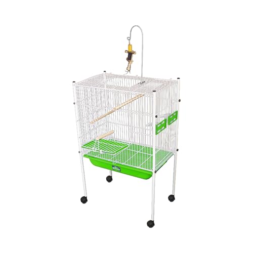 Viveiro Bragança Calopsita Plus-verde