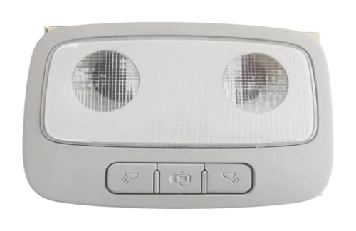 Lámpara de techo gris para reparar la luz interior de consola de Hyundai i800