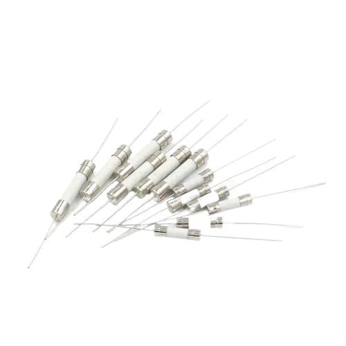 Airuixi Keramiksicherung 10pcs 5x20mm 250V