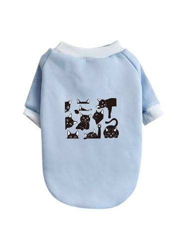  L lR L ybg hbOEFA ̕ L ybgEFA h _炩 іh~   t@bV U ybgpi