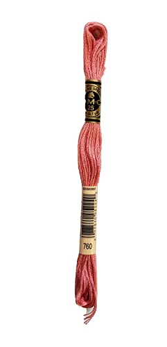 Image of DMC 6-Strand Embroidery Cotton Bundle - Salmon Color Family - 6 Skeins of Thread - 8.7yd Skeins