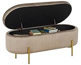 IlGruppone Panca Imbottita Divanetto in Velluto Contenitore Pouf Grande XXL PortaOggetti P...