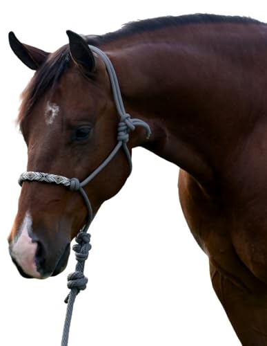 Professional's Choice Beaded Rope Halter | Intricate Beadwork on The Noseband | 7 Foot Matching Lead | Charcoal