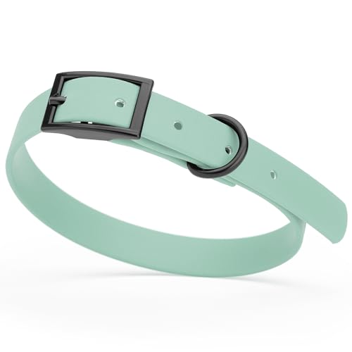 Image of Dogline Biothane Waterproof Dog Collar Strong Coated Nylon Webbing with Black Hardware Odor- Proof for Easy Care Easy to Clean High Performance Fits Small Medium or Large Dogs, Sage Green