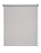Easydeco - Estor Enrollable Screen (Gris, 120_x_250_cm)