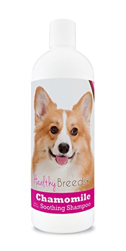 Healthy Breeds Pembroke Welsh Corgi Chamomile Soothing Dog Shampoo 8 oz
