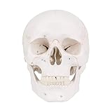 CLINGRE boutique shop uk